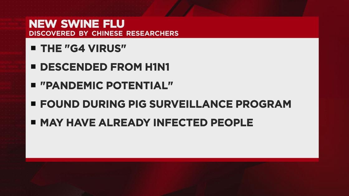 The Rise of a New Pandemic(G4 Virus)