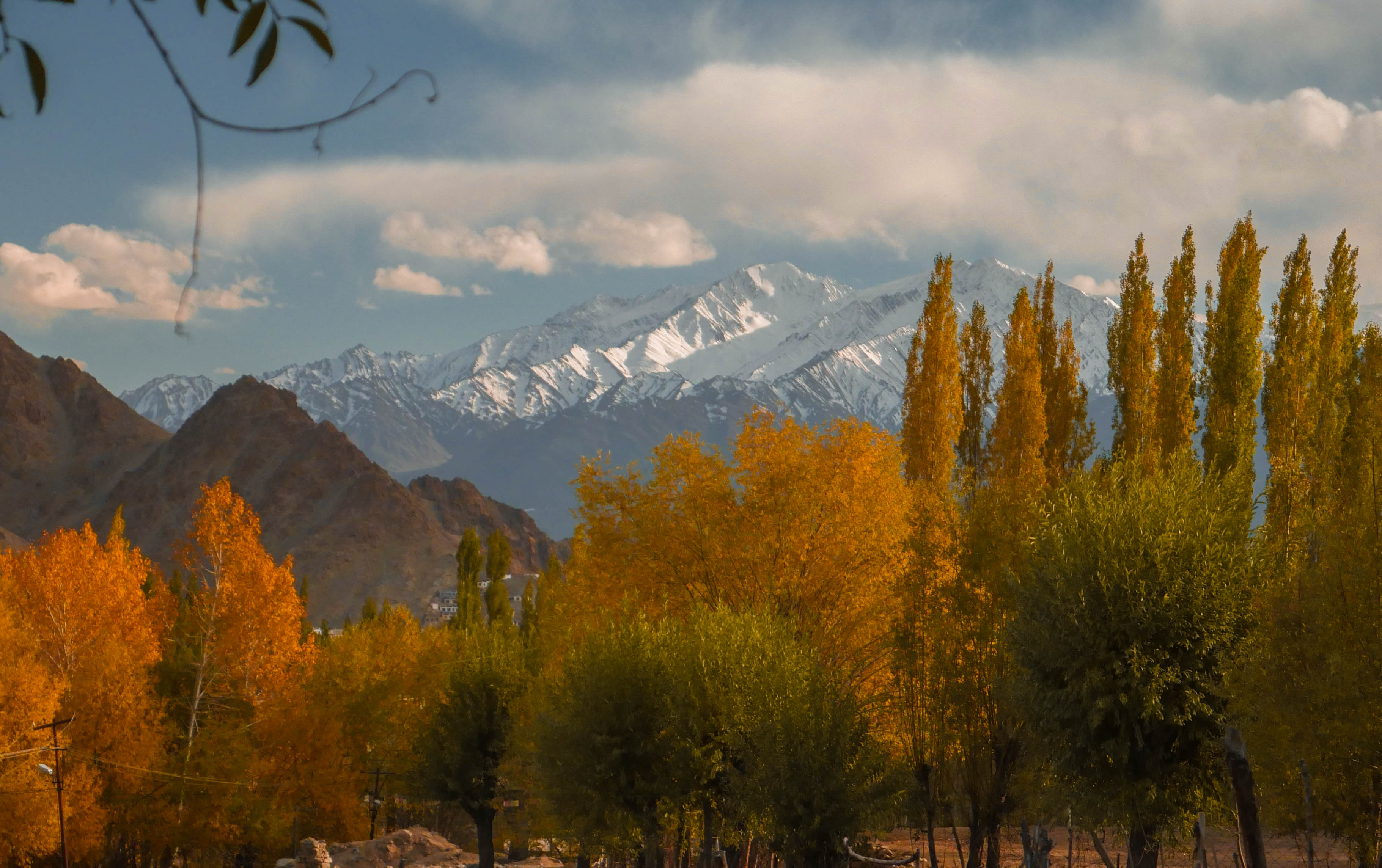 Fall Colours in Asia