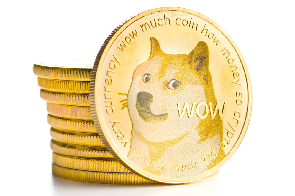 The Meme coin that Elon wants to take to the moon.