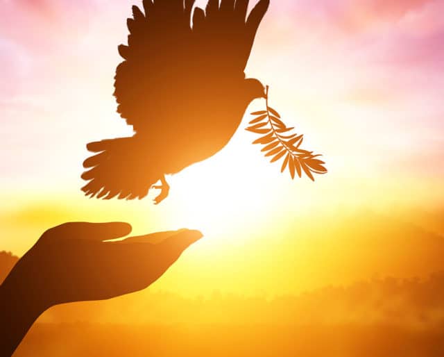 ROLE OF SCIENCES FOR PEACE AND DEVELOPMENT – TODAY AND TOMORROW