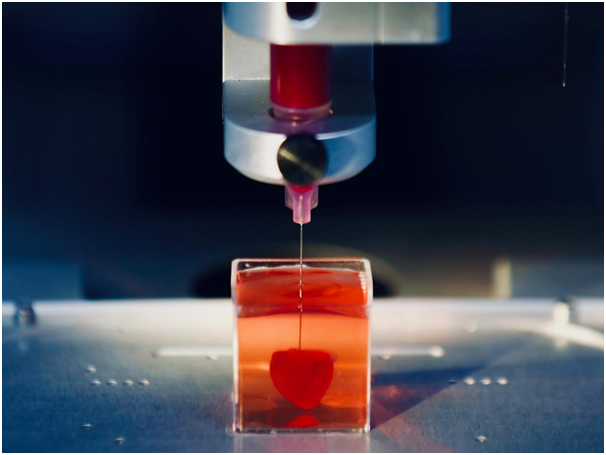 BIOPRINTING: 3D-PRINTING OF ORGANS